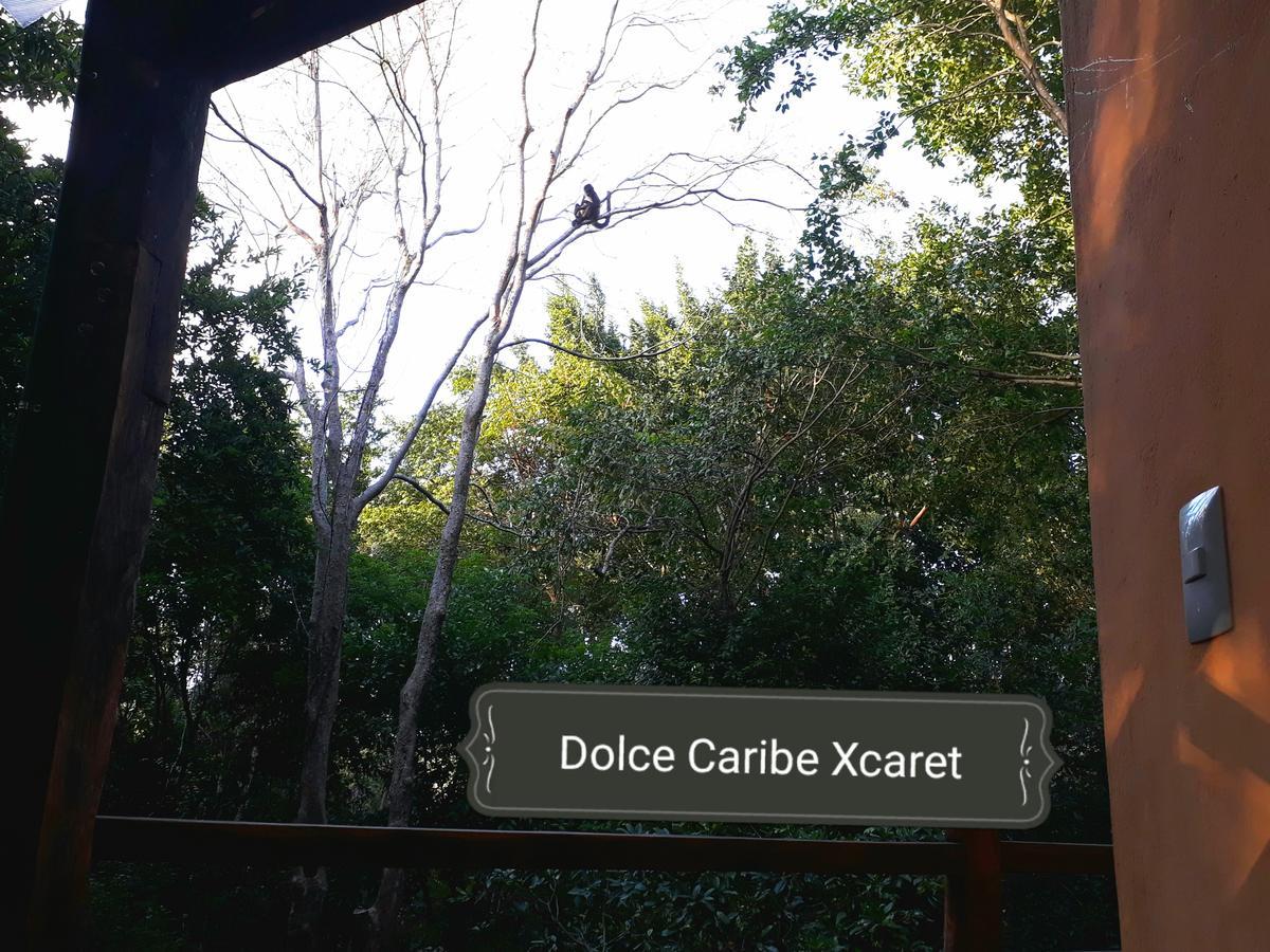 Bed and breakfast Dolce Caribe Xcaret