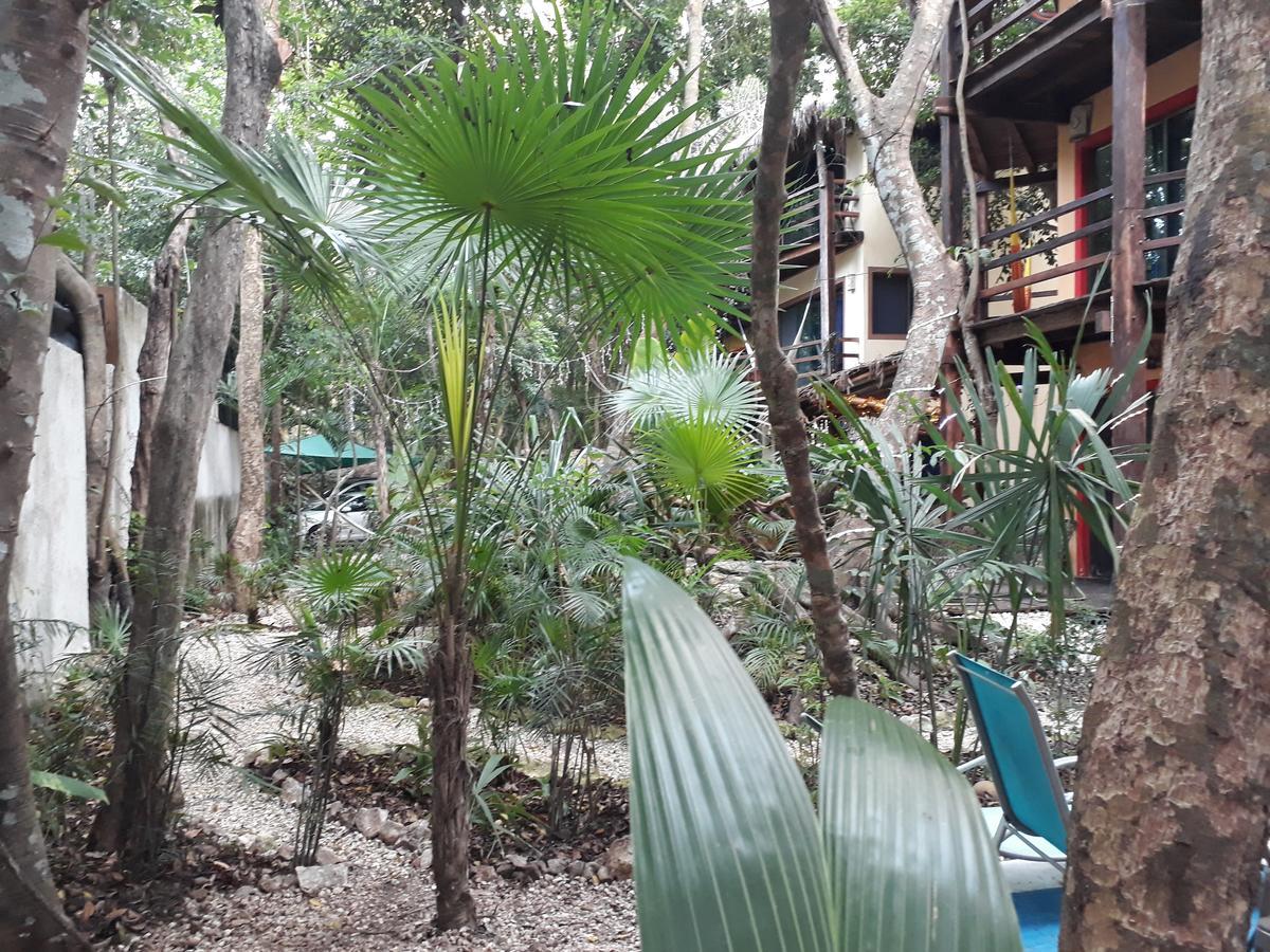 Dolce Caribe Xcaret Bed and breakfast Playa del Carmen
