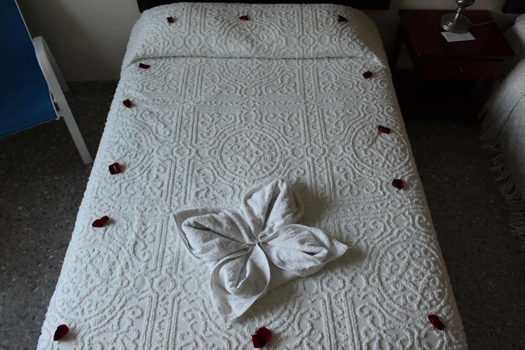 Hotel Boutique Delfin 5th Avenue Playa del Carmen