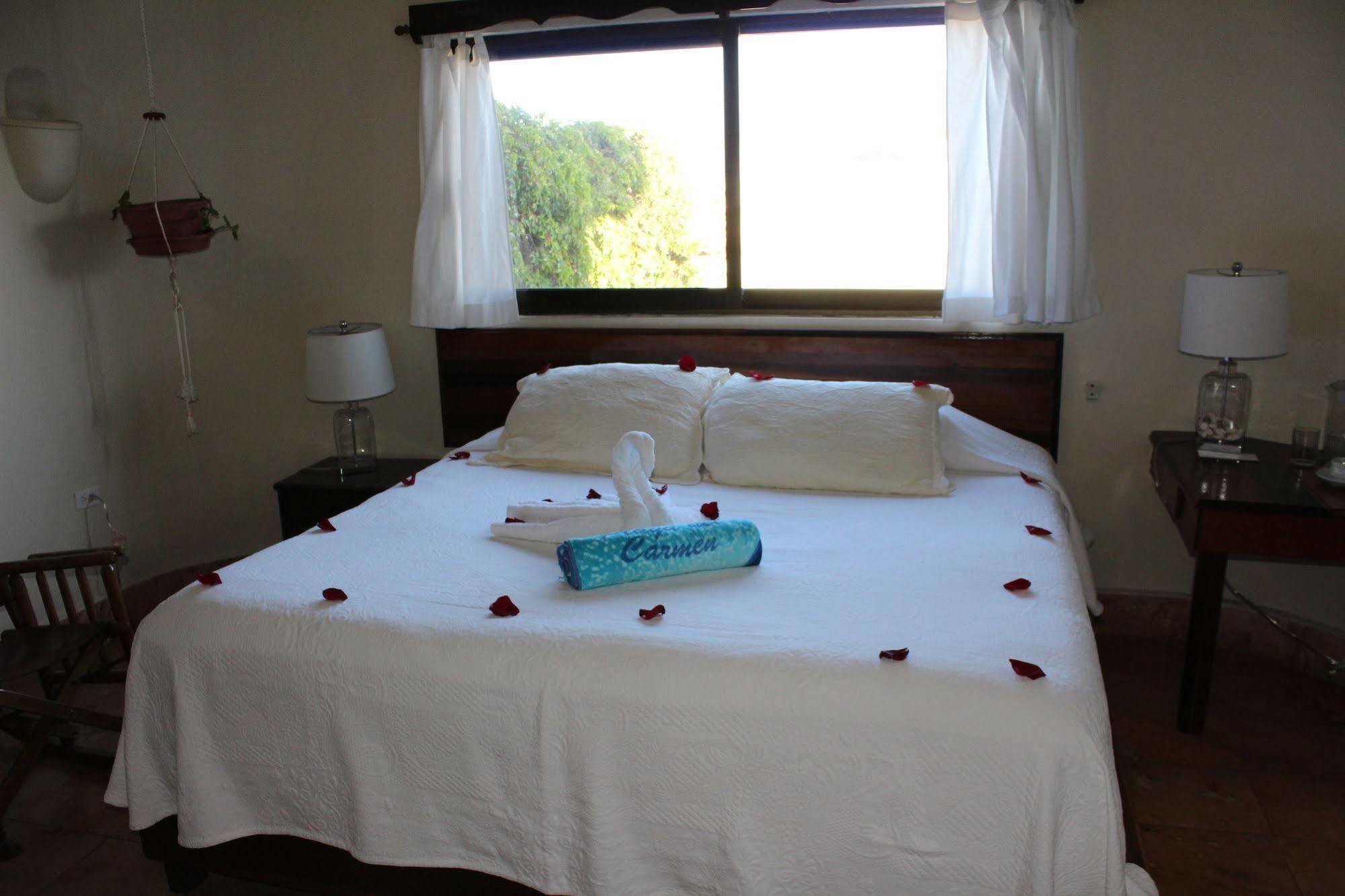 Hotel Boutique Delfin 5th Avenue Playa del Carmen