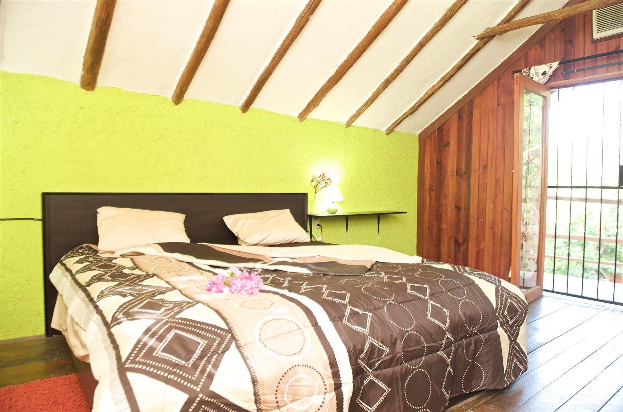 Casa Kiwi Căn hộ *