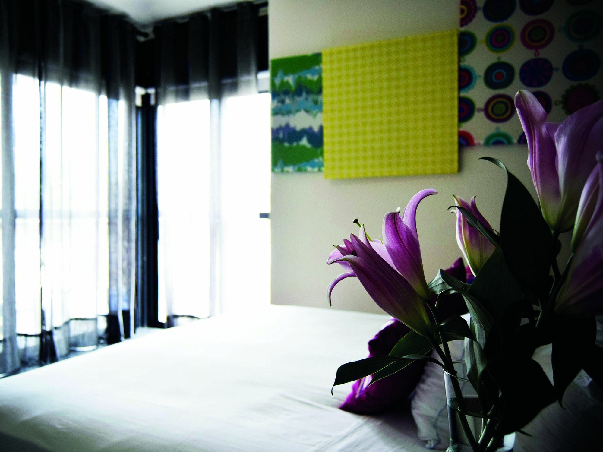 Siesta Fiesta Hotel
